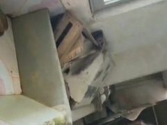 ASIATICOS 3