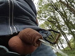 Pissen im Wald