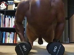 Sunday Afternoon Dumbbell Pushups
