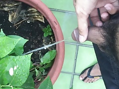 test videos