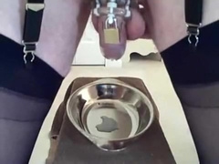 Chastity, milk, pee and cum