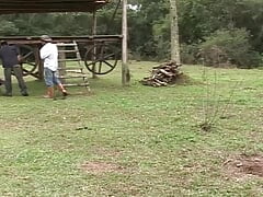 Bareback Rider Scene 2