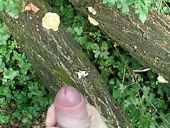 Twink Public jerk off in the park