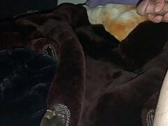 Thick cumshot on beaver fur