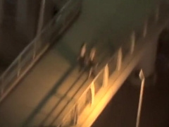 Japanese old man goes to Yokohama