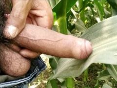 Village Gay Mast Jizz