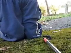 Task in the forest