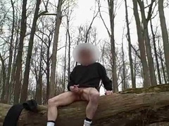 Public Park Outdoor Jack Off