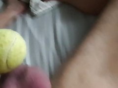 Tennis Ball on balls