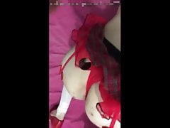 Carol Vittar sucking her boyfriend's cock and showing her as