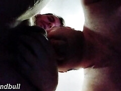 Hog on all fours