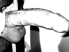 Foreskin