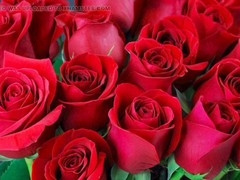 Hd videos, bangladeshi, big ass