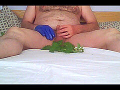 Rediscovering the fun of nibbling nettles, May 2016