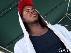 Interracial fun with bi-racial babes: Joy of Homos