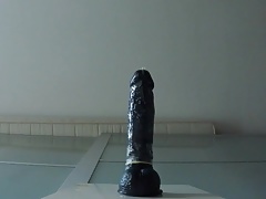 Cumming whilst fucking my dildo.MOV
