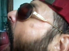 Rio de Janeiro Bull Inhaling the Machos Off