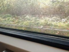 Jack of in public train. I hope nobody saw me...