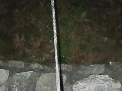 Pissing by Flashlight