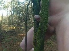 tree fuck