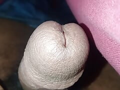 A selo boy gay show small Panis com in mouth  in fuck