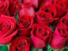 Big ass, gay porn, mature