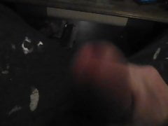 polly pulling it hard