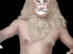 Stripping Gay Lion.