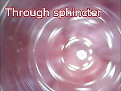Inside view of Sissy Pussy