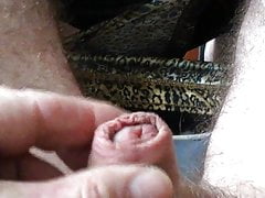 Wanking a tiny cock