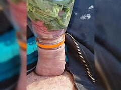 Self stinging nettles on cock with ruined orgasm cumshot