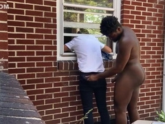 Stuck In The Window - Bruno Cartella