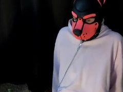 Locked pup plays with his playthings and makes a dirt