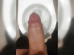 Security Guard Cum Toilet