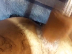 Conversion Steer
