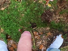 Quick Cumshot in forest