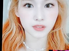 Sana (Twice) Cum Tribute