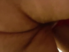 The_Husky Breeds Phophaes