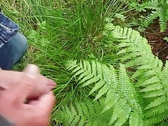 Little cum on a big fern.
