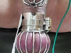 Locktober cum from cbt estim in chastity and ball cage