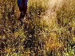 Stripped in field