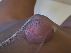 Hands free cum pushing in pantyhose