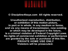 Curiosity rewarded or punished?