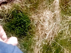 Pissing compilation video