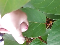 Outdoor jerk off