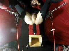 Solo play on 22 inch toy in sling