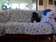 Friend Breeds Me On Couch