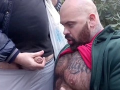 Bear ass, big dick bear, bear masturbation