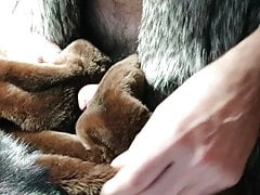 Silver fox beaver and mink fur stroke