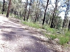 Bush walking